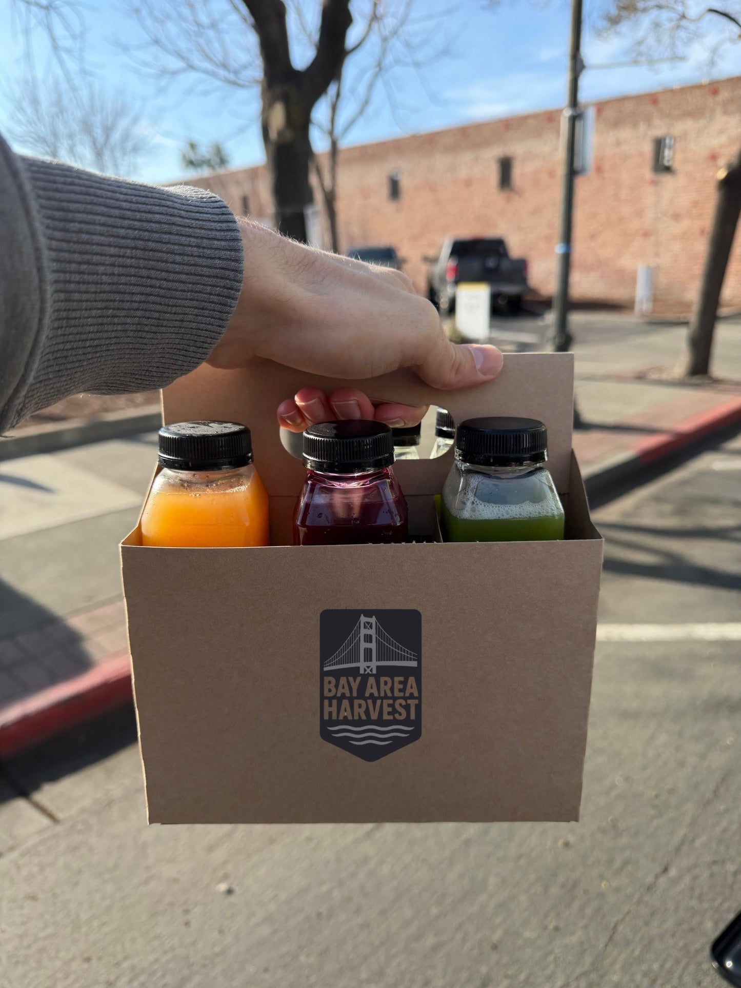 Variety 6-Pack